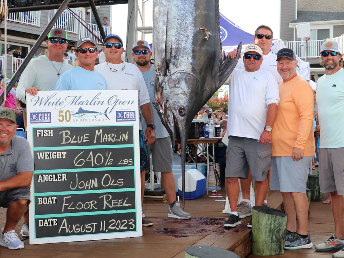 Floor Reel blue marlin at White Marlin Open Floor Reel blue marlin at White Marlin Open